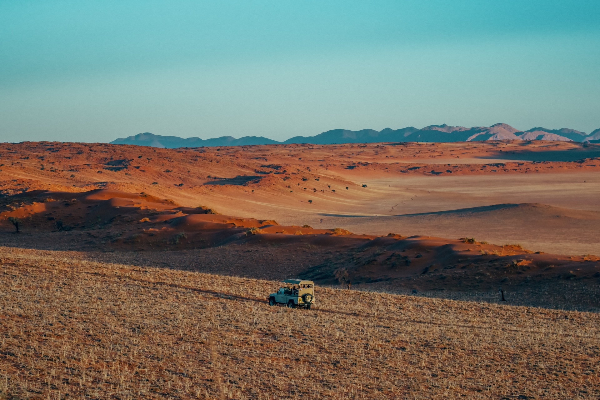 Licht und Schatten auf den Grasebenen des NamibRand, Namibia