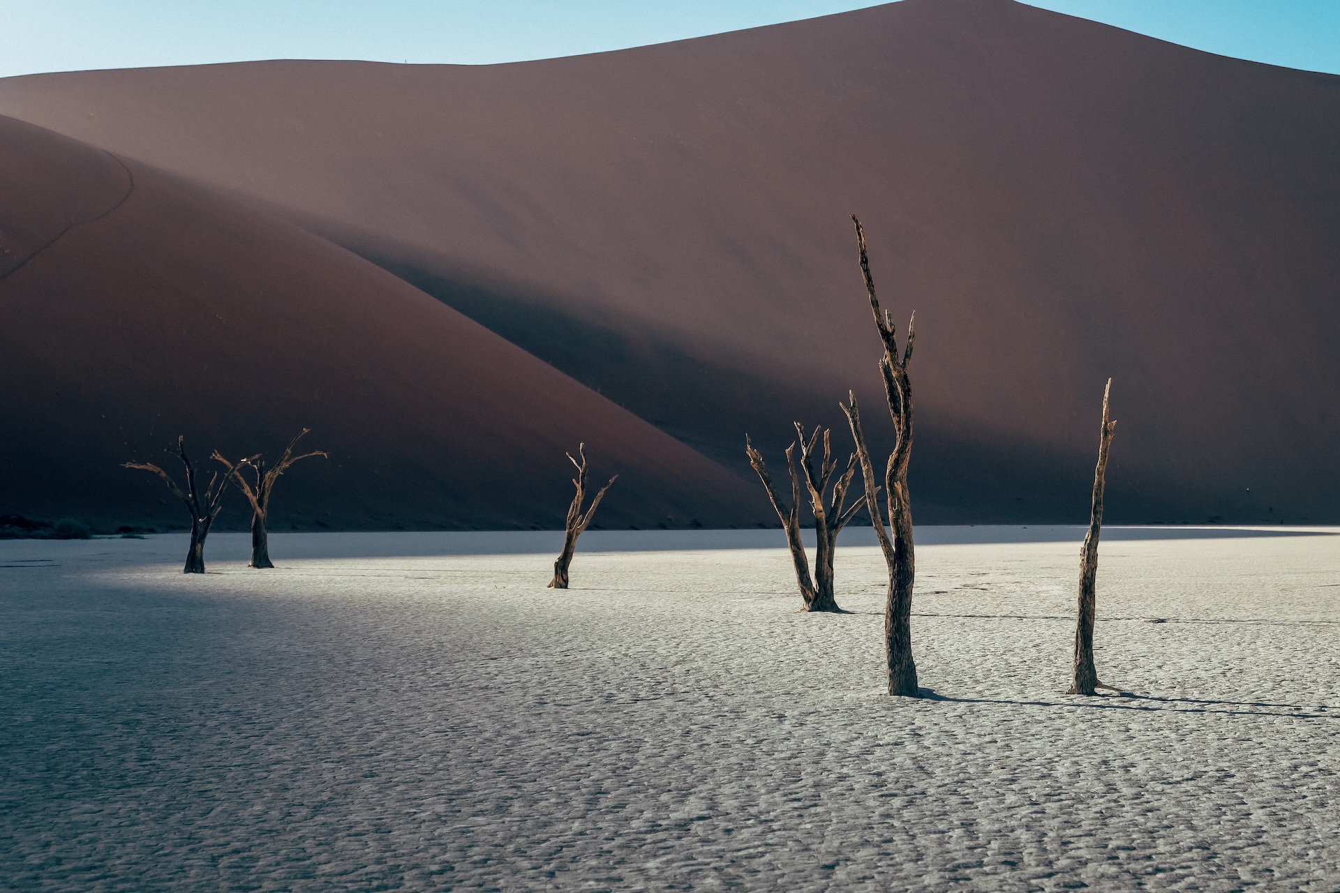 Sonnenaufgang im Deadvlei zwischen toten Bäumen, Sossusvlei Namibia