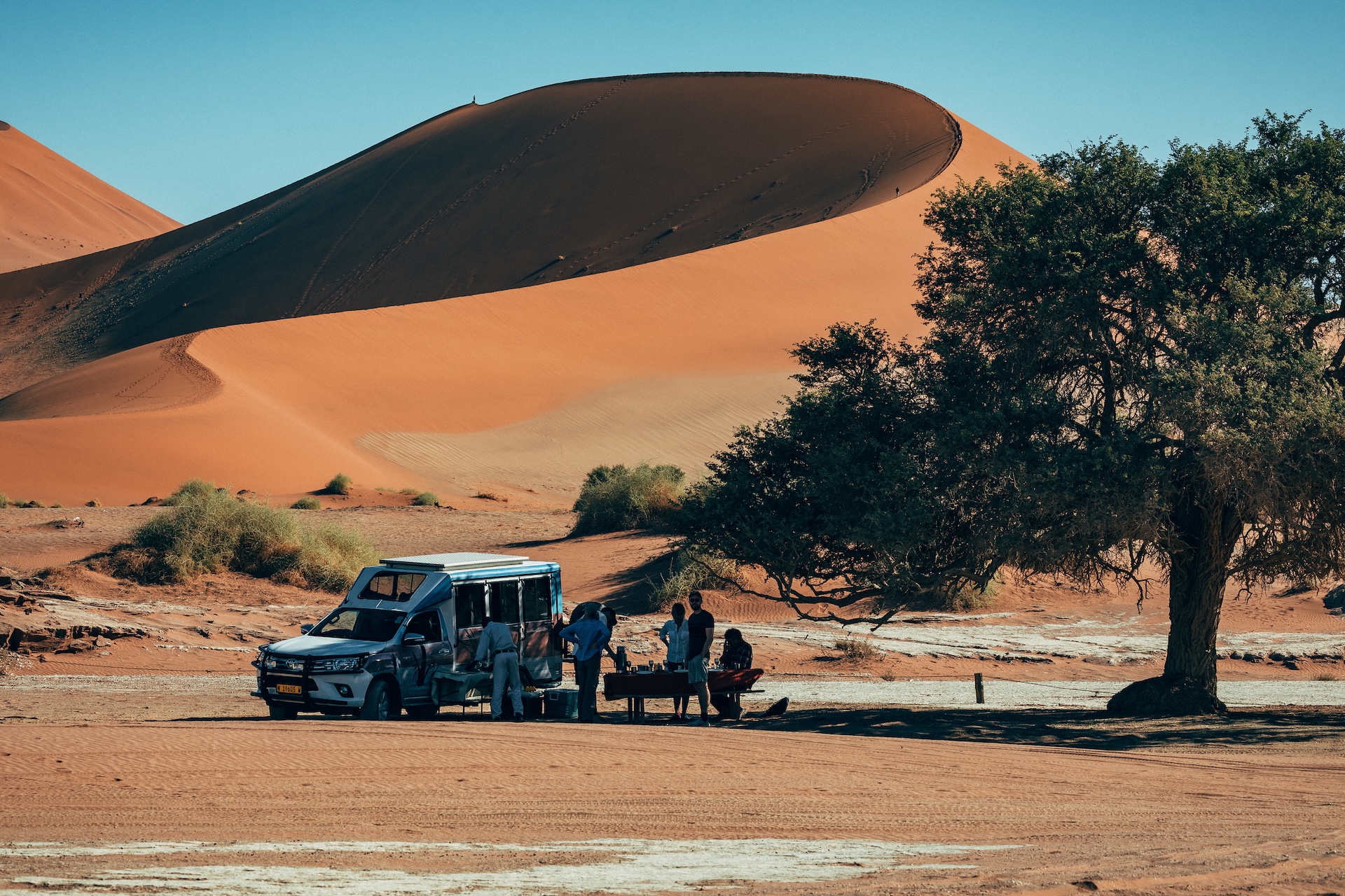 Sanddüne 45 im goldenen Morgenlicht, Sossusvlei Nationalpark Namibia