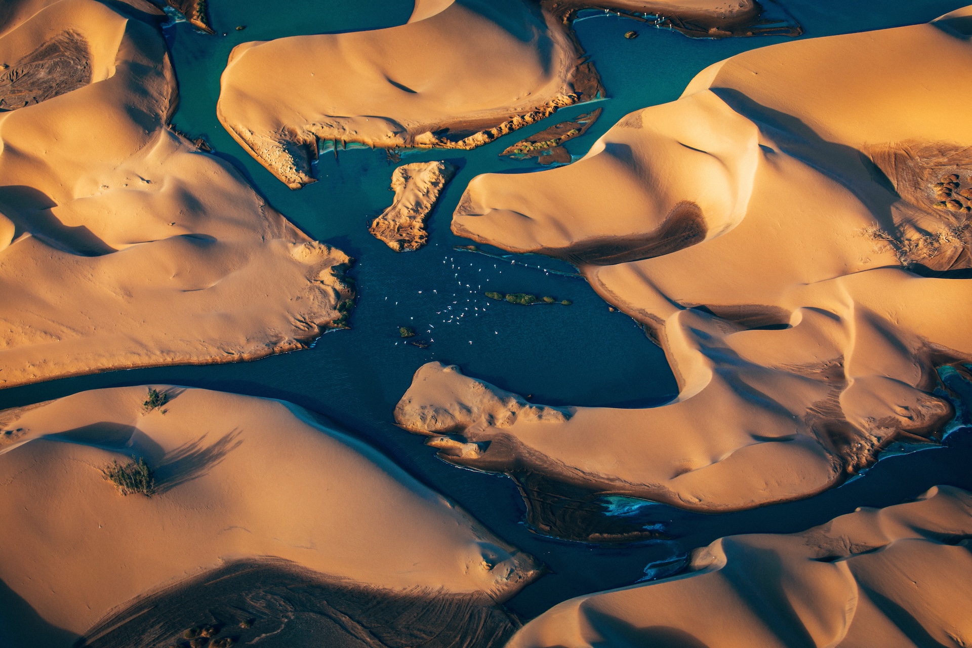 Flamingos an der Walvis Bay Bird Sanctuary, Namibia