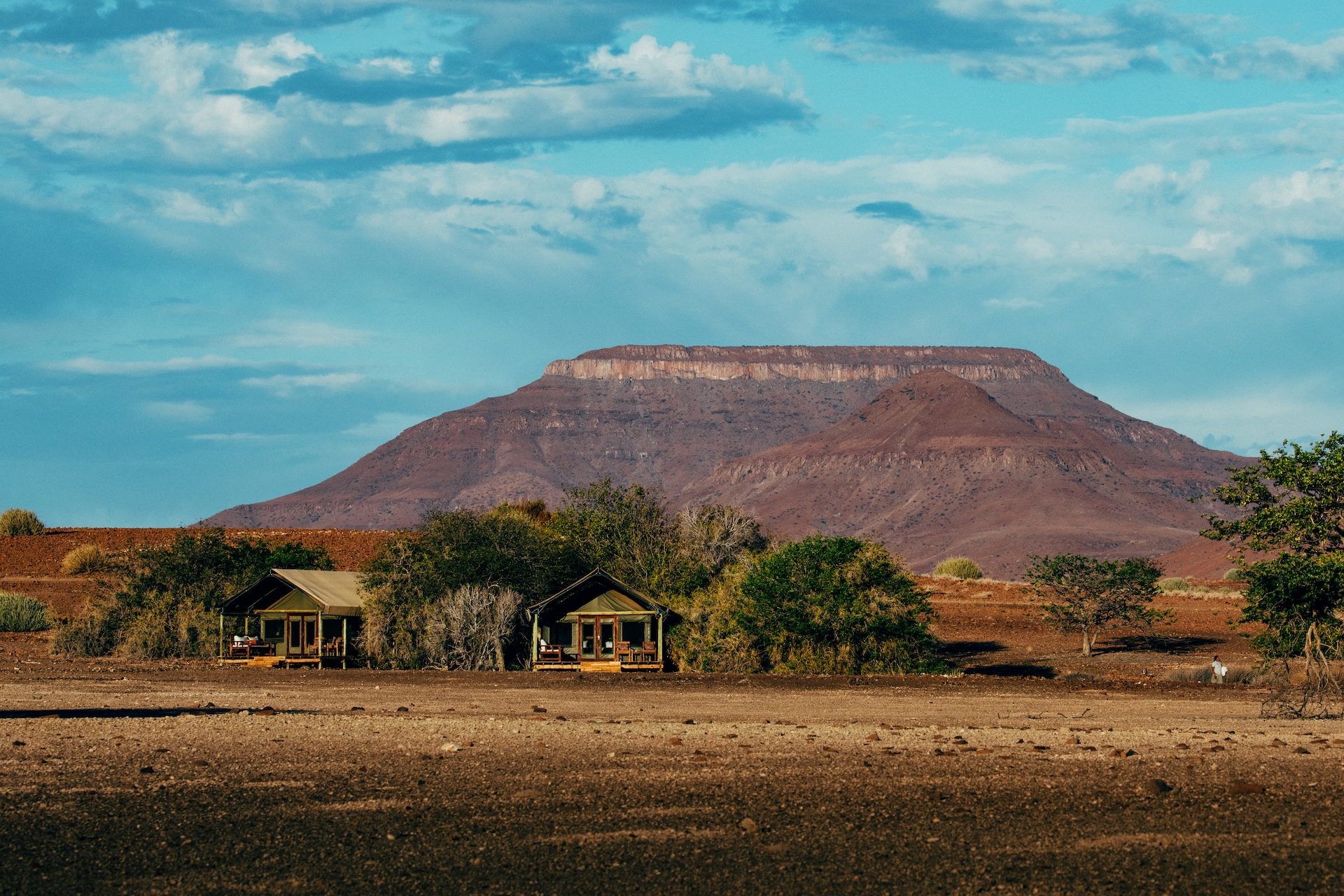 Elefant in der kargen Landschaft des Damaralands, Namibia