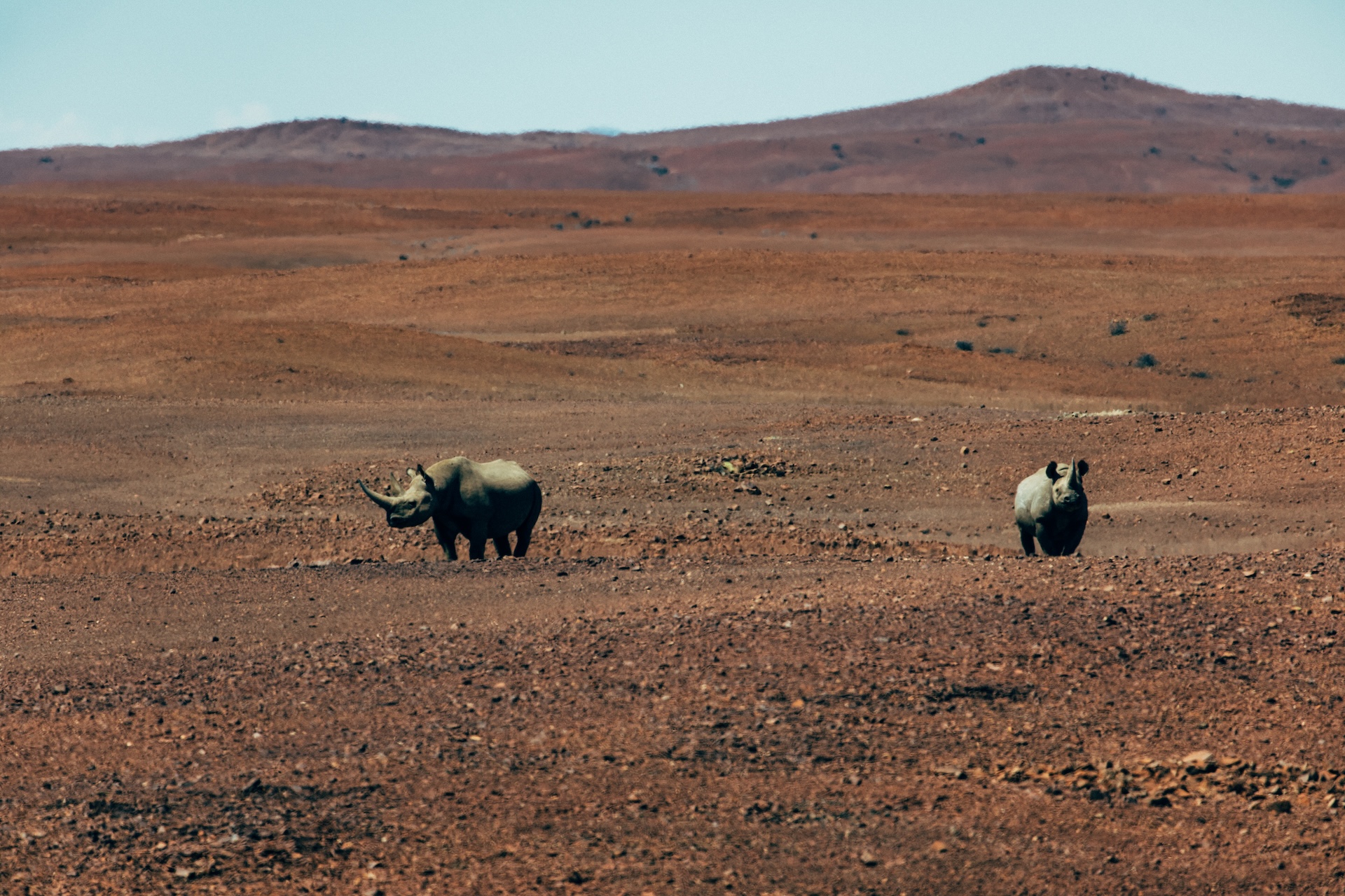 Wüsten-Landschaft des Damaralands mit charakteristischen Felsen, Namibia