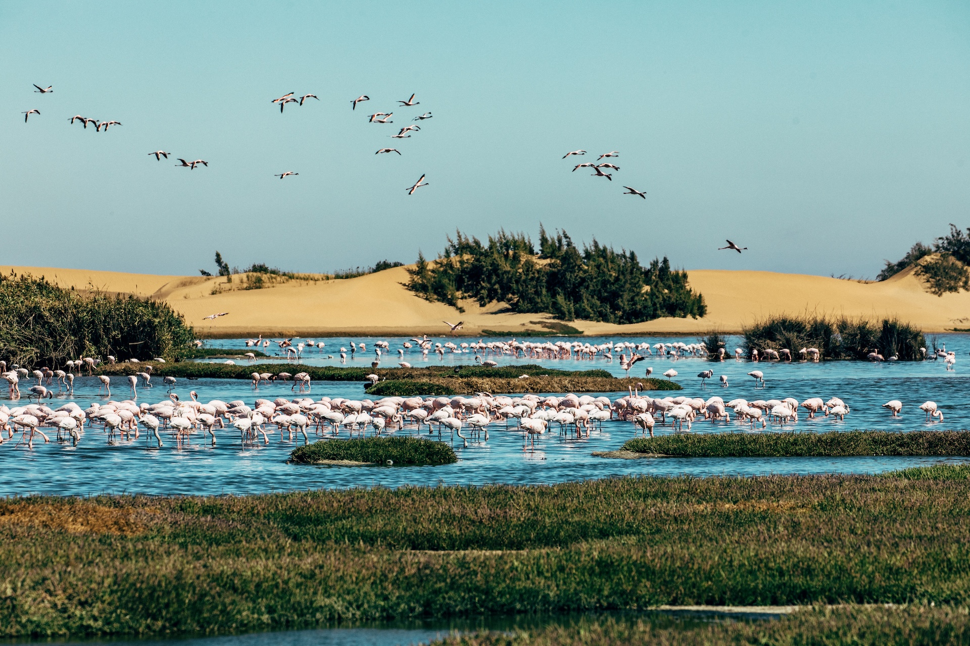 Nebel über den Dünen bei Swakopmund, Atlantikküste Namibia