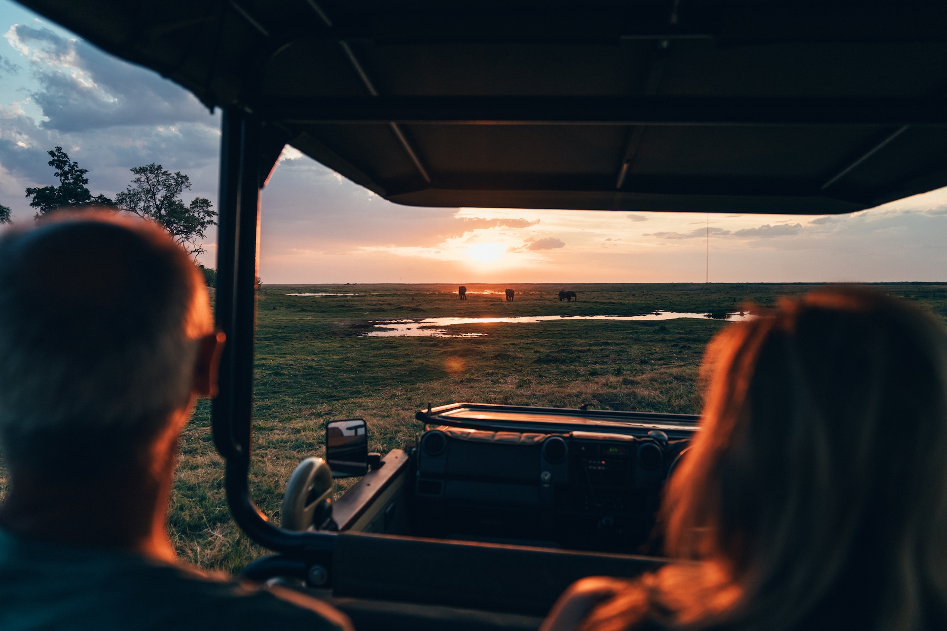 Wildlife am Wasser bei Sonnenuntergang, Linyanti Botswana