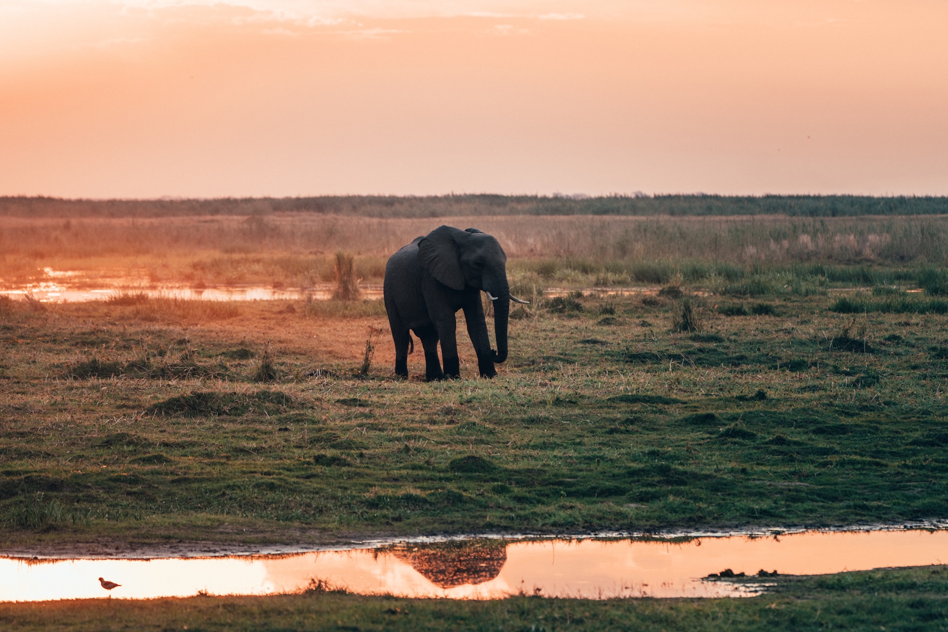 Sonnenuntergang über dem Linyanti Fluss, Chobe Nationalpark Botswana