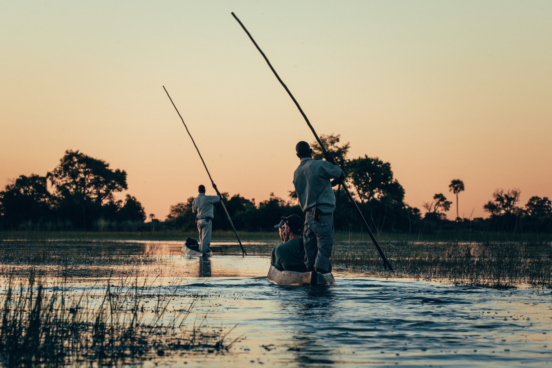 Mokoro-Fahrt durch die Wasserwege des Okavango Deltas, Botswana