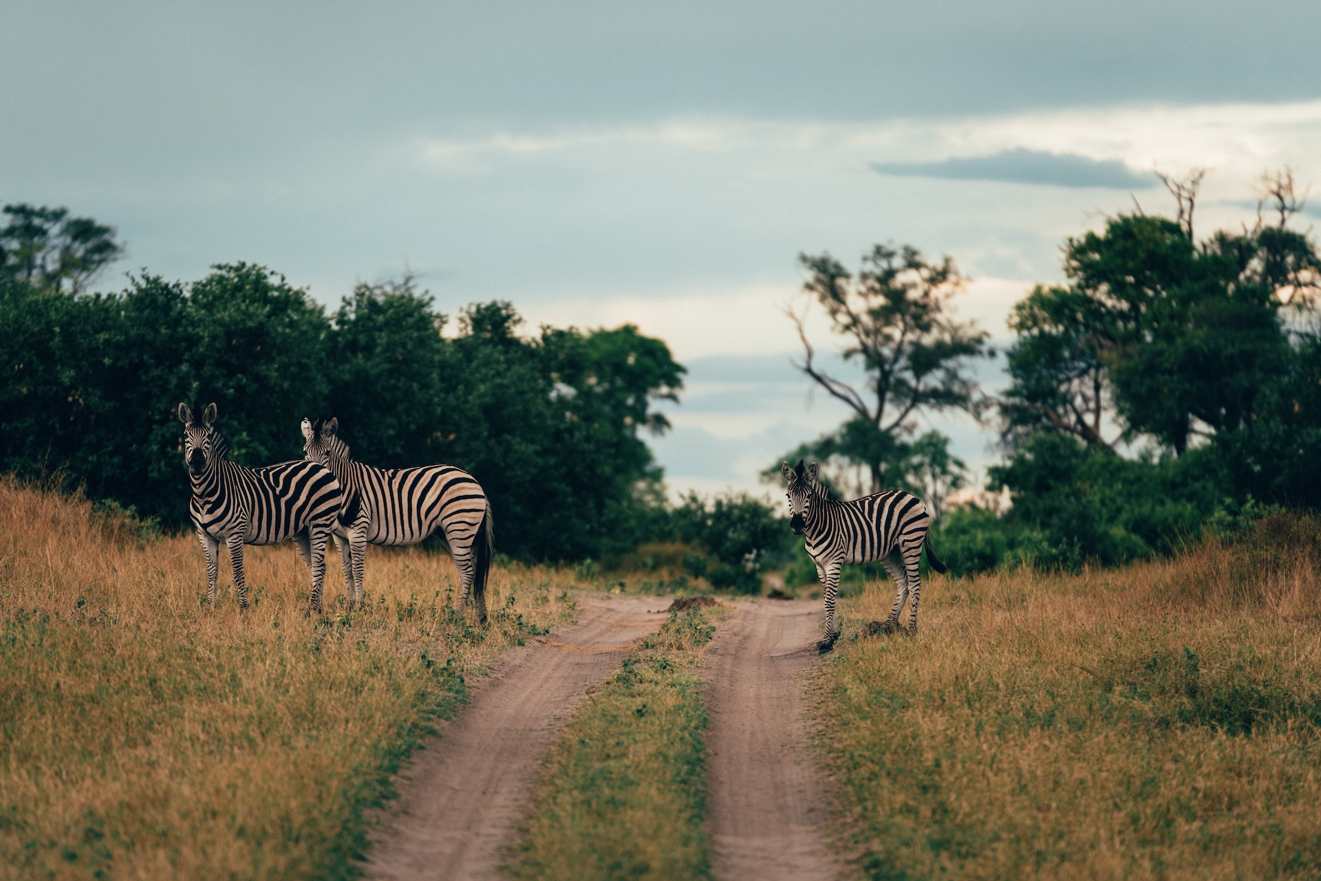 Sonnenaufgang über der Weite des Makgadikgadi, Botswana
