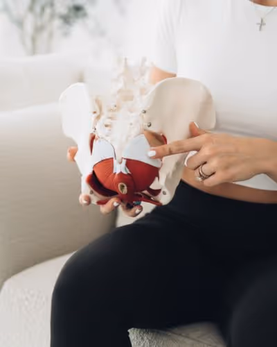 Hands holding an anatomical teaching model during a mom'z birth preparation class