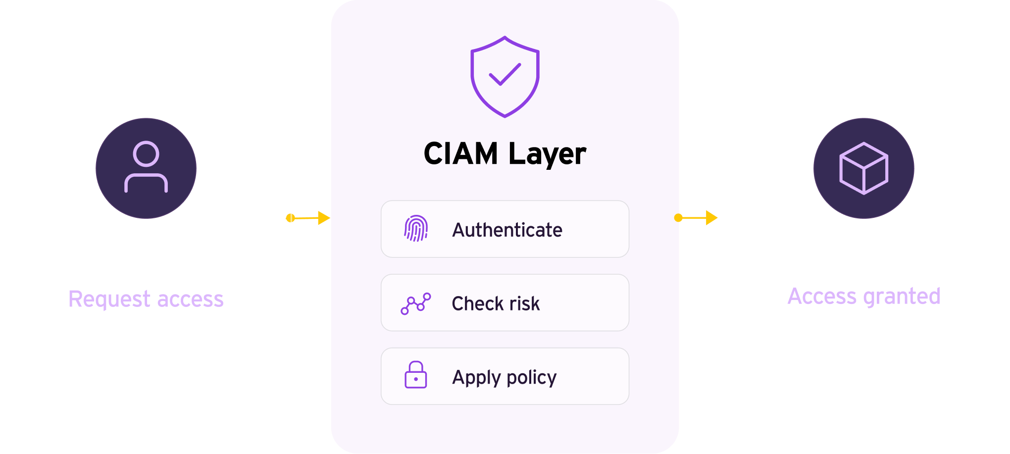 CIAM process