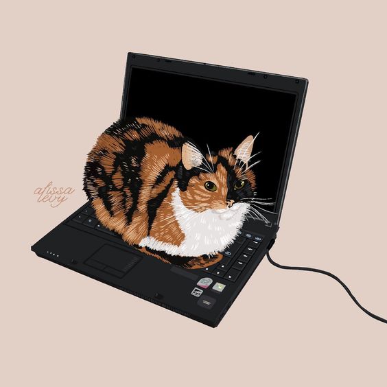 A cute cat sitting on a laptop.