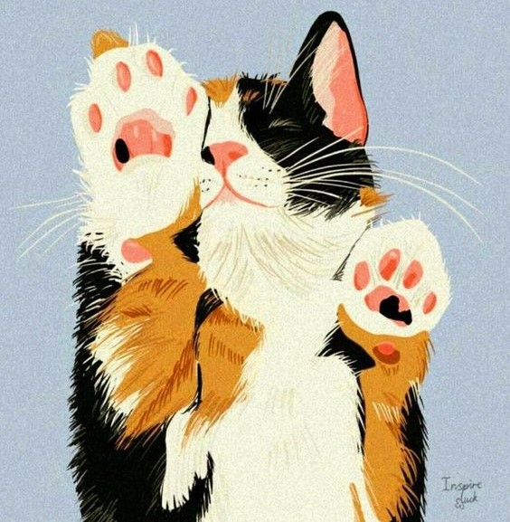 A cute cat with paws on the screen.