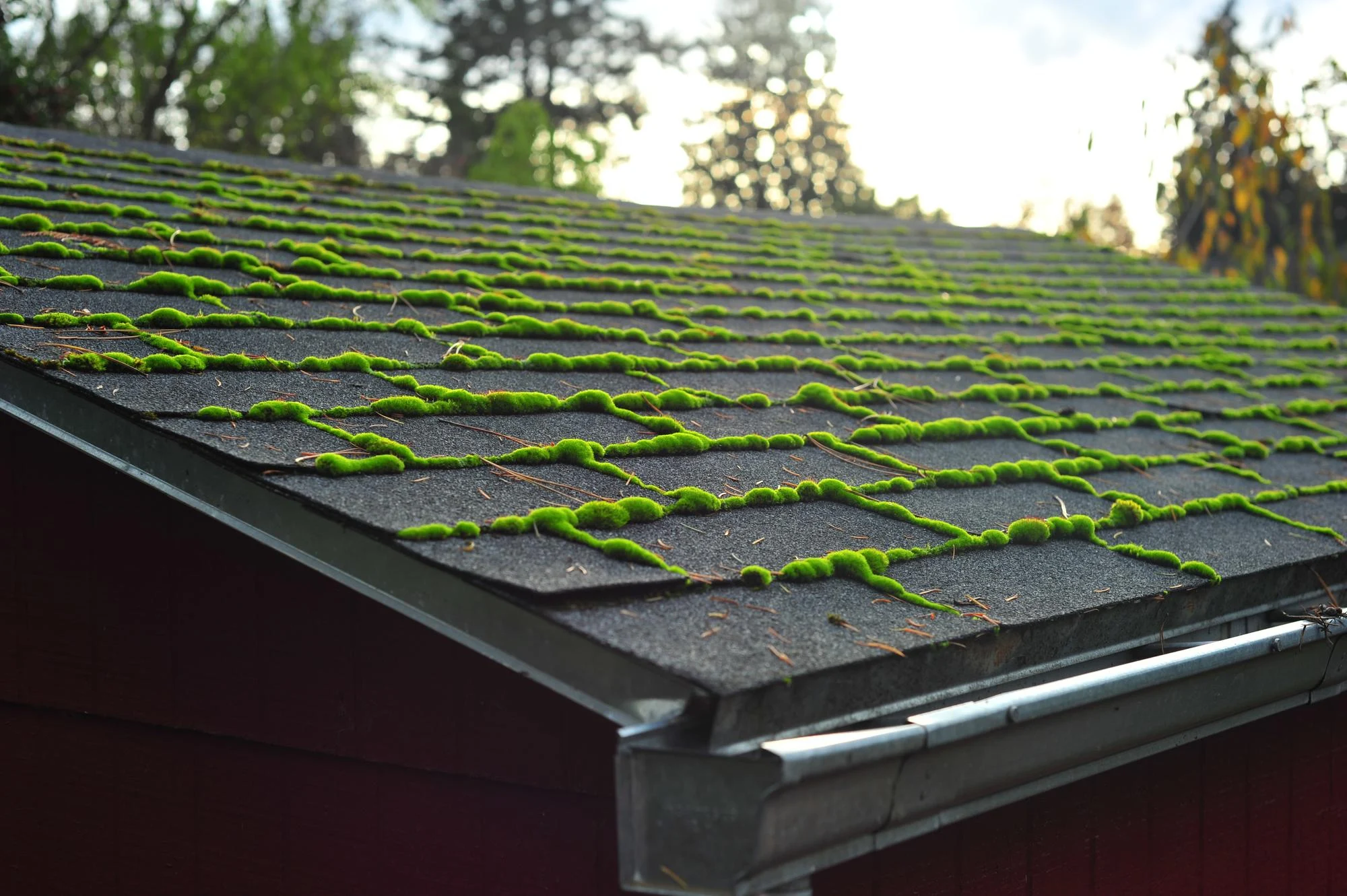 Gutter Cleaning Icon