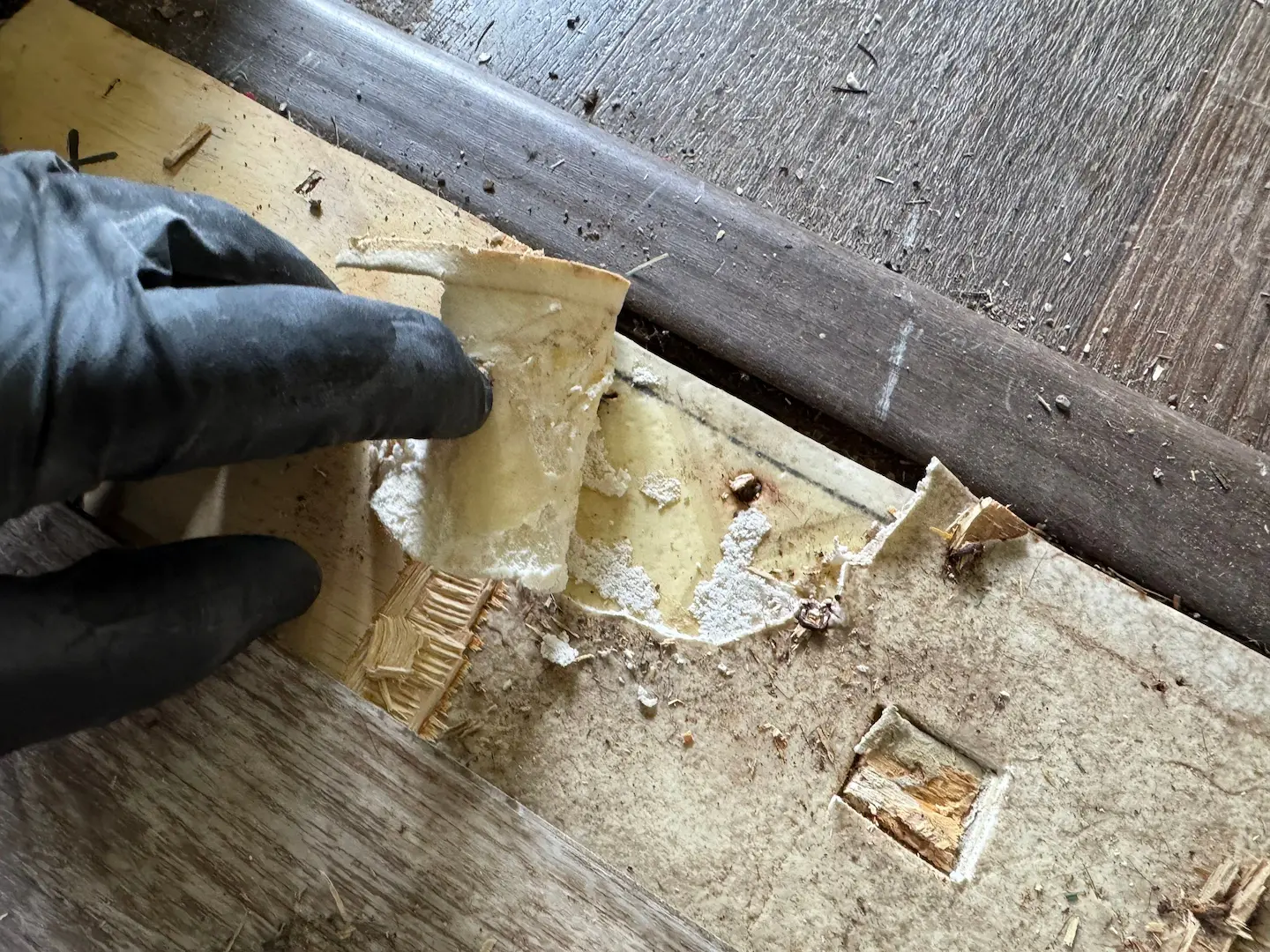 asbestos under floorboard