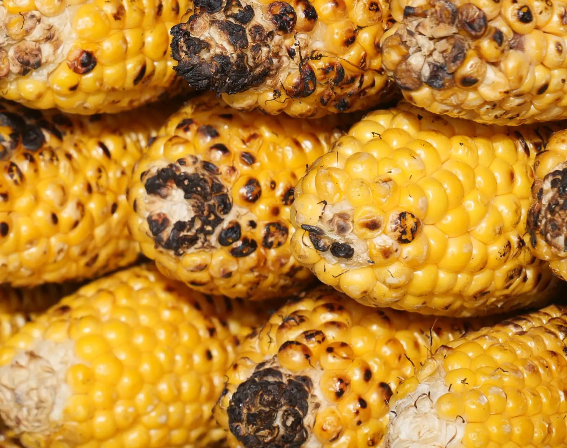 aflatoxins