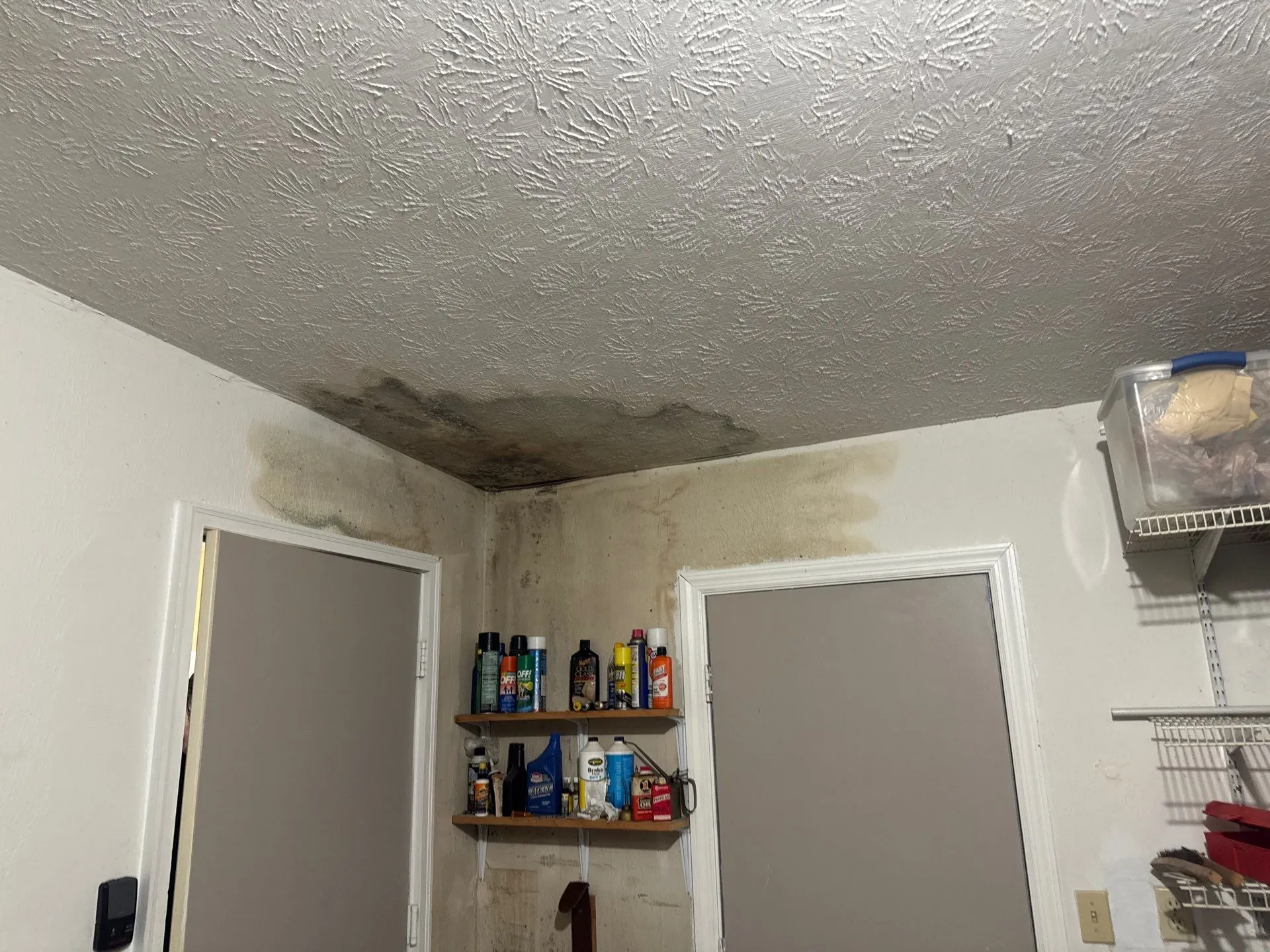 Corner of a room with black mold and water damage on ceiling and walls above two closed doors.