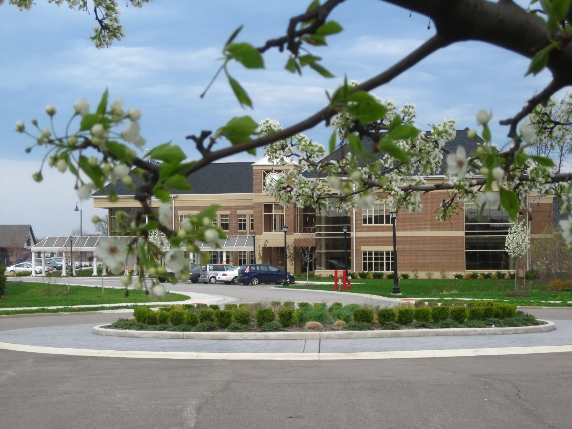 Brick building viewed through blossoming tree branches with a roundabout and cars in front.
