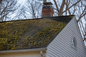 Green moss growing on this shingled roof needs to be removed