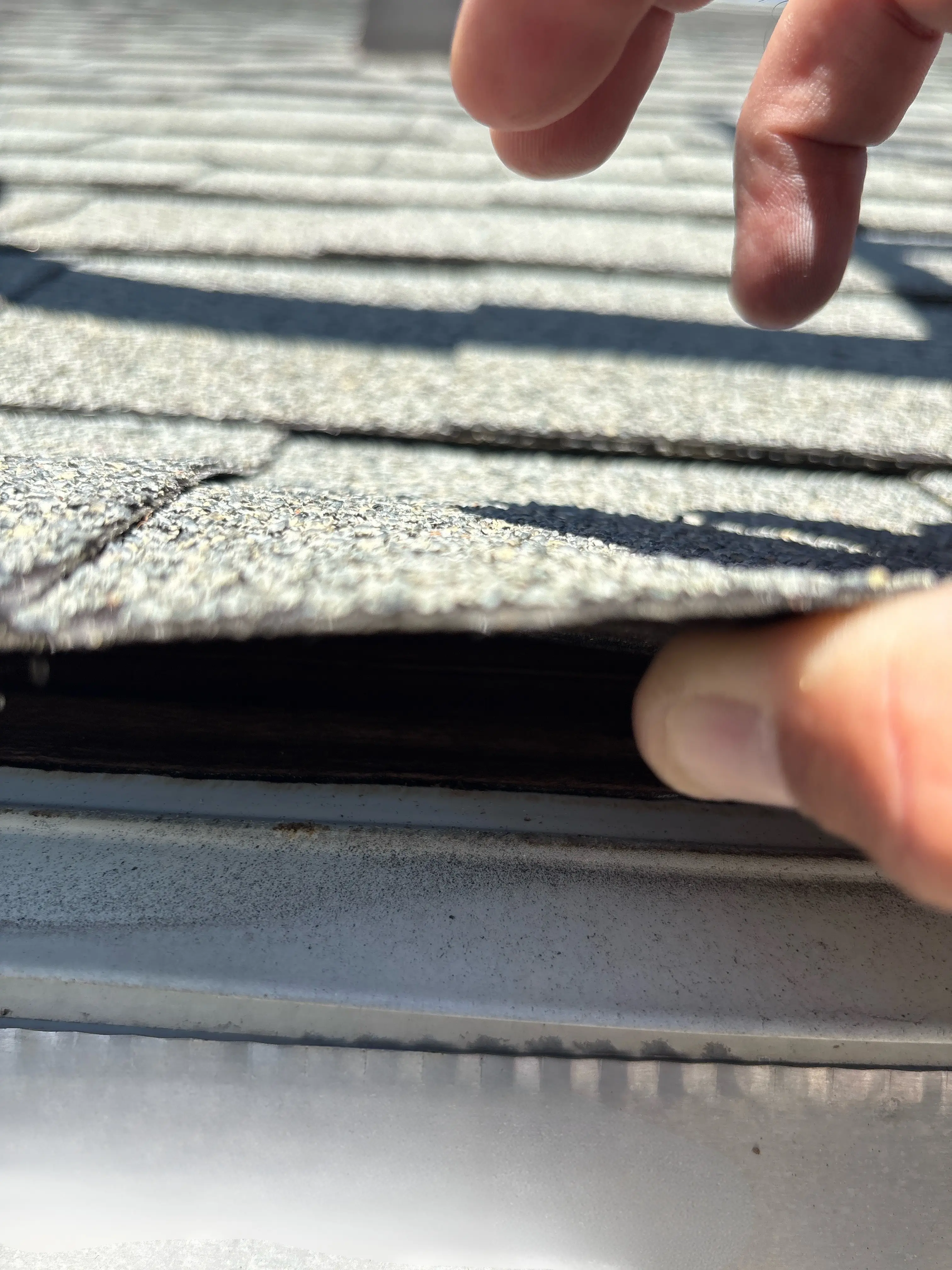 Close-up of lifted shingle showing exposed decking during roof inspection in Bedford VA.