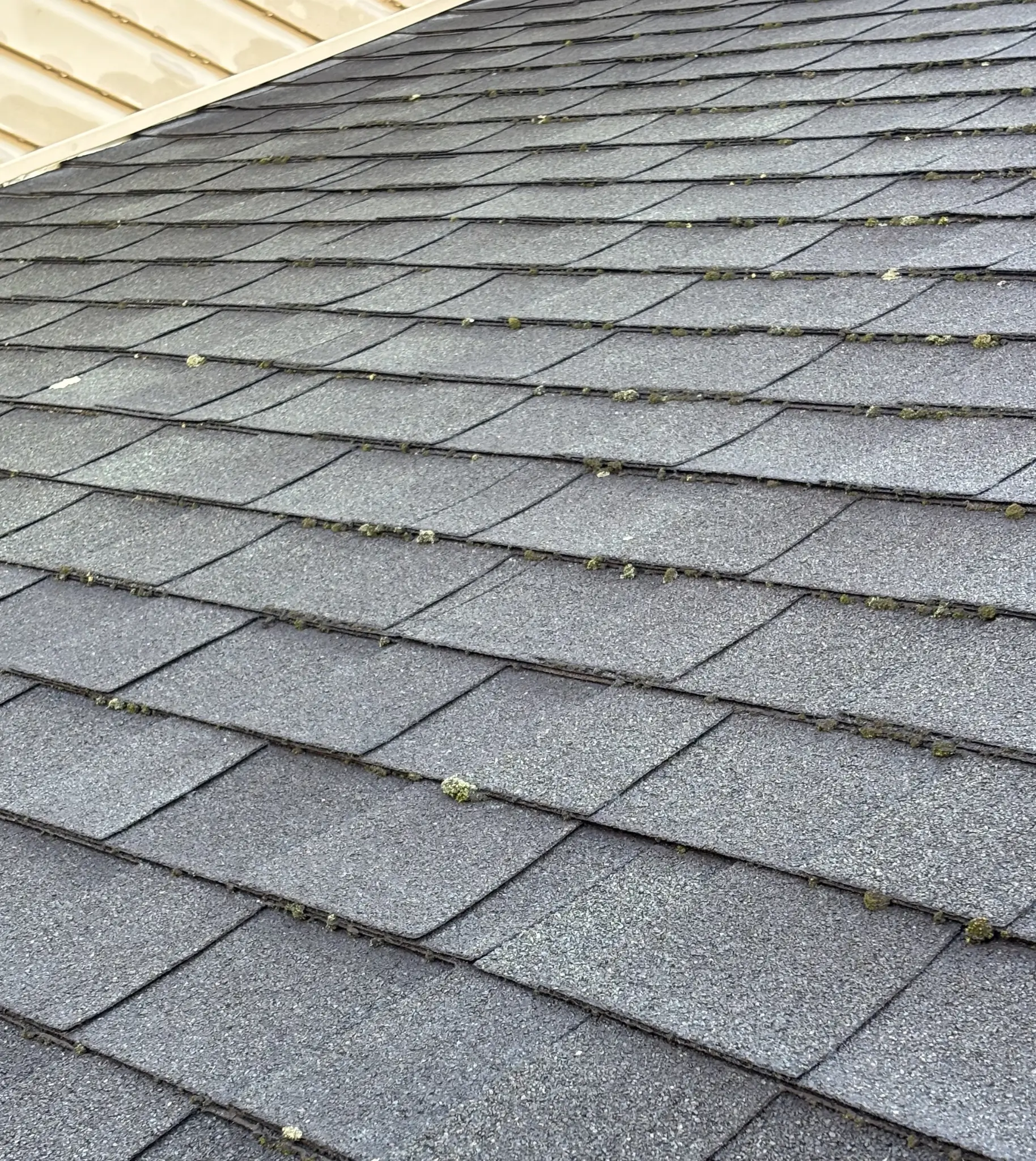 Completed Cenguard Gold roof replacement in Radford, VA with Owens Corning TruDefinition Duration architectural shingles