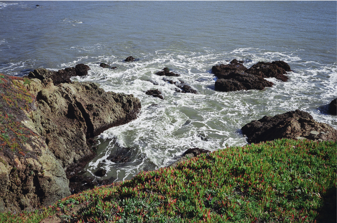 A photo a rocky beach
