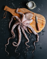 Photo of octopus on a cutting board