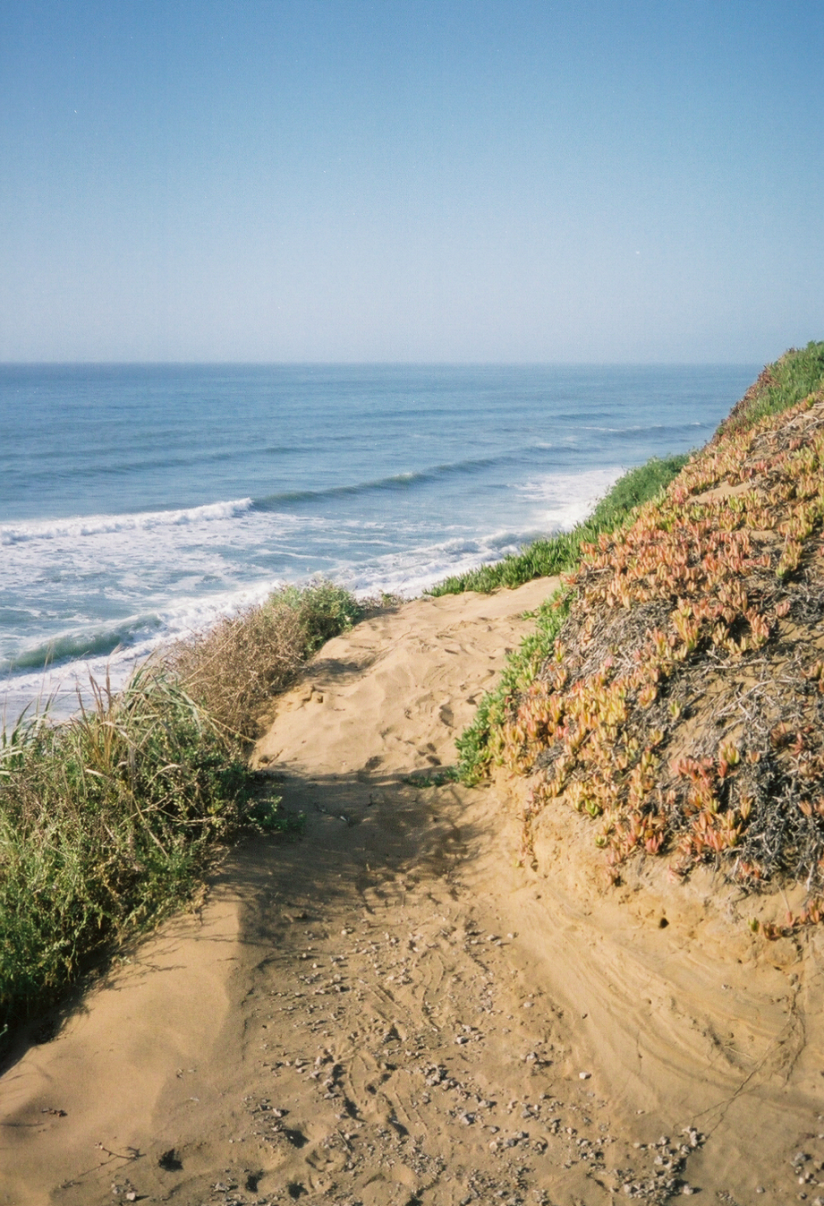 Photo of a beach path leading to the ocean