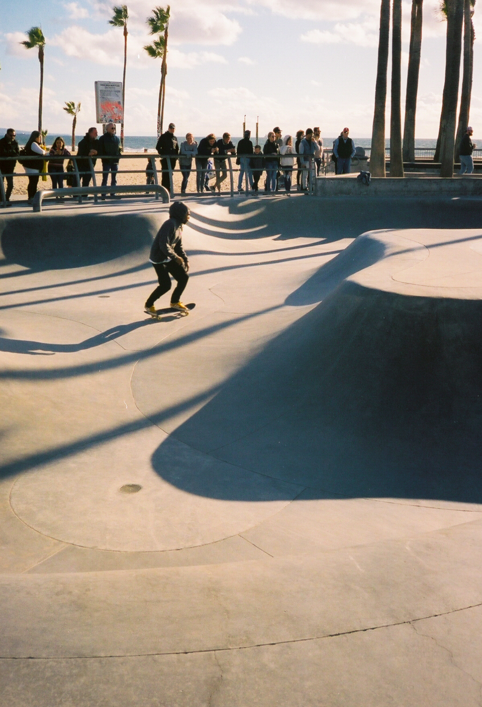 Photo of the skatepark in Venice Beach