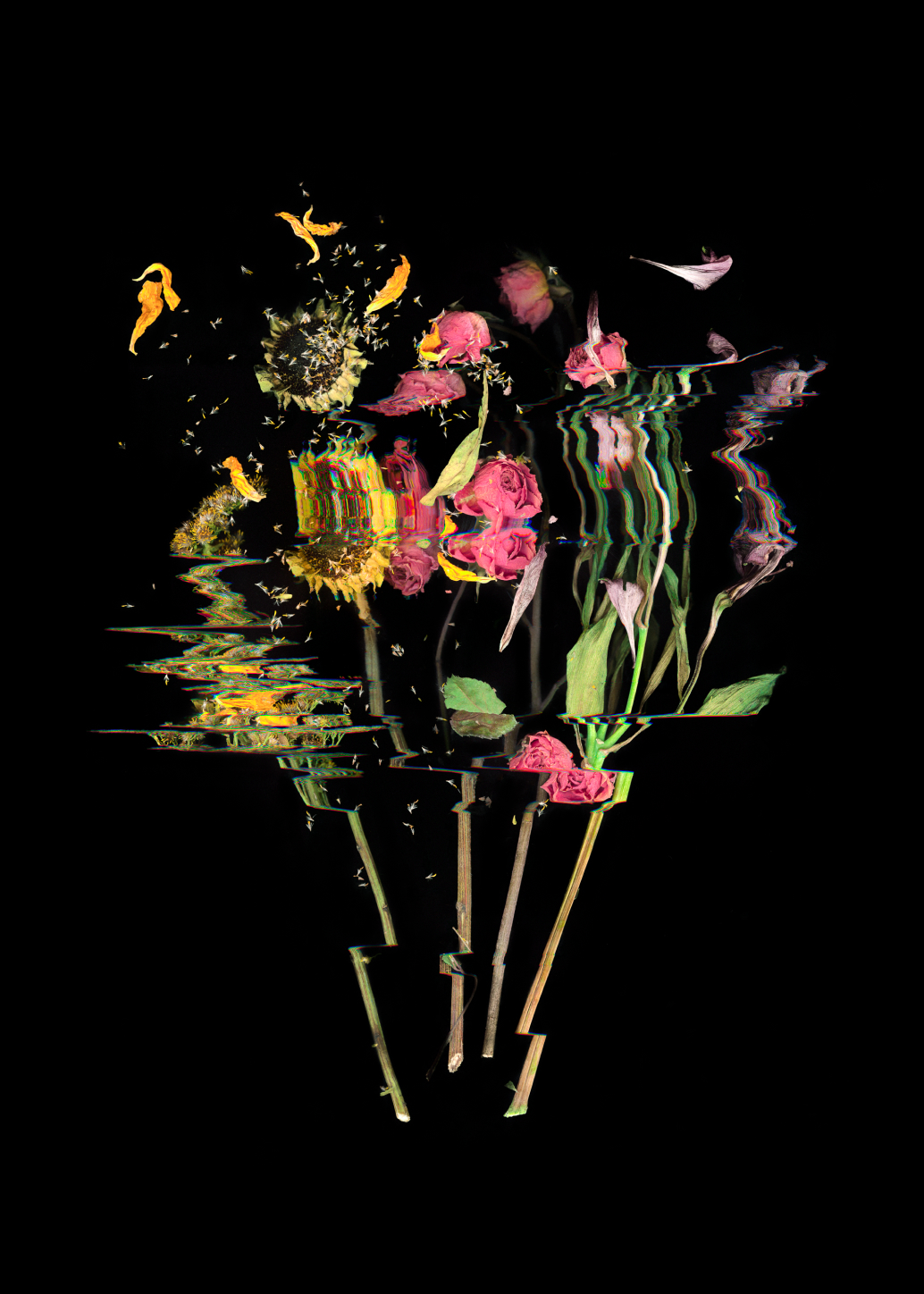 Scan of dried flower bouquet