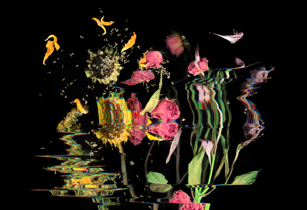 Scan of dried flowers