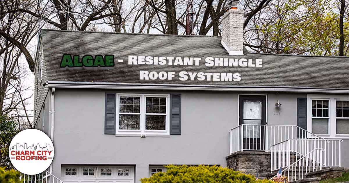 Charm City Roofing Blogs - algae resistant shingles