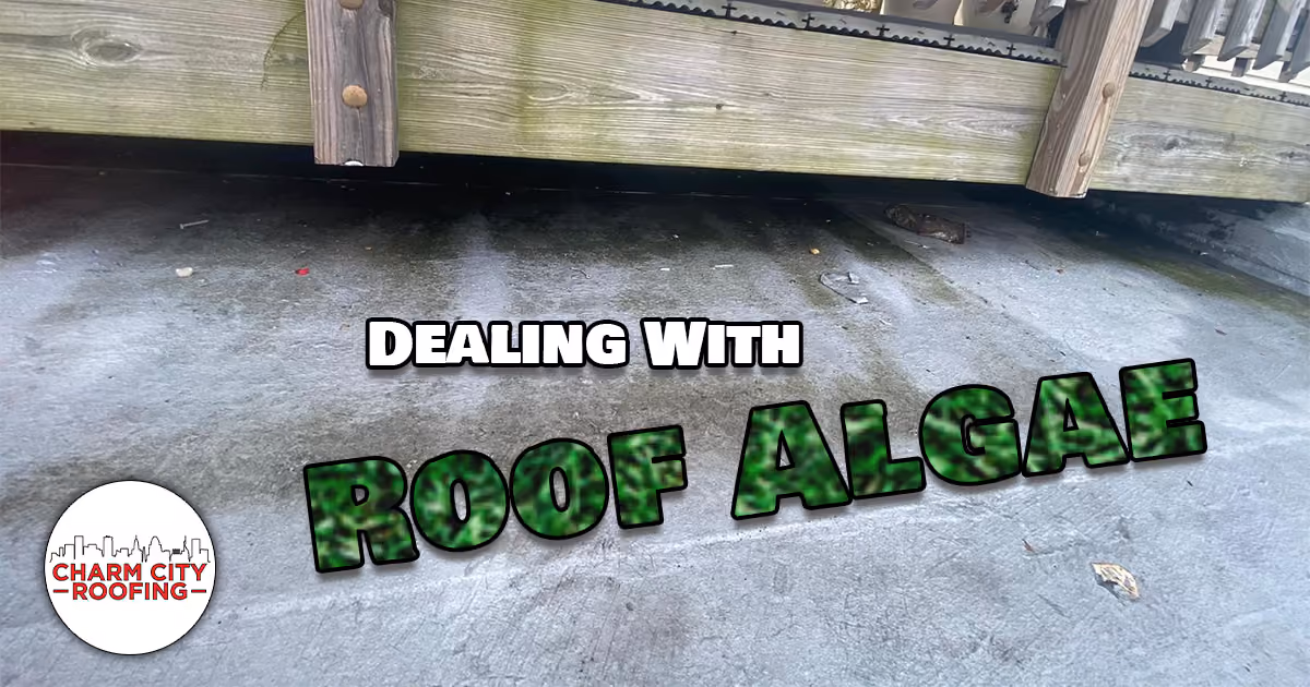 Charm City Roofing Blogs - roof algae