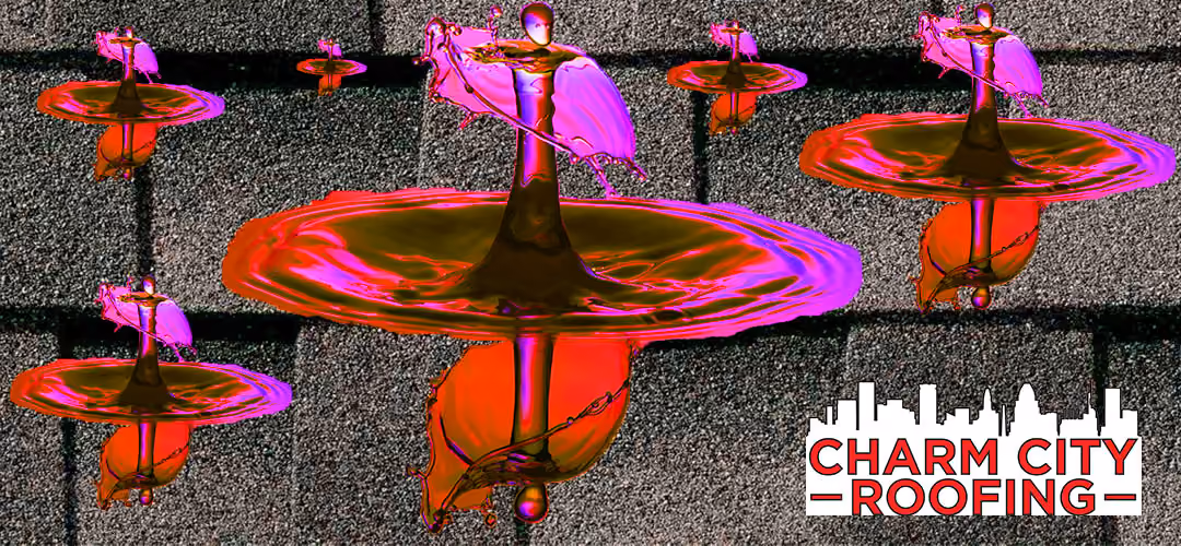Charm City Roofing Blogs - roof attic leak