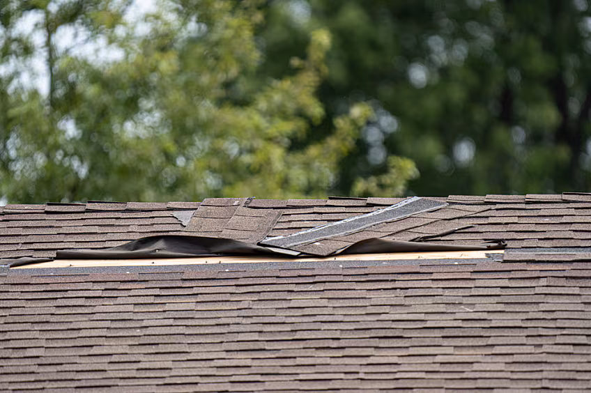 damaged shingle roof