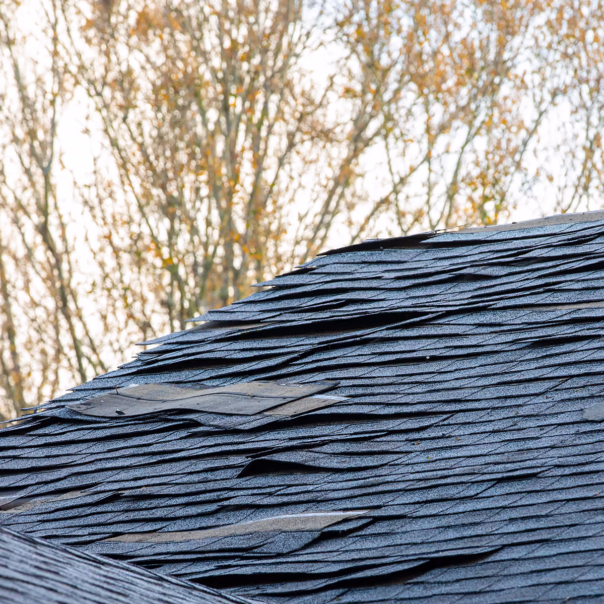 shingles on a roof damaged by strong wind