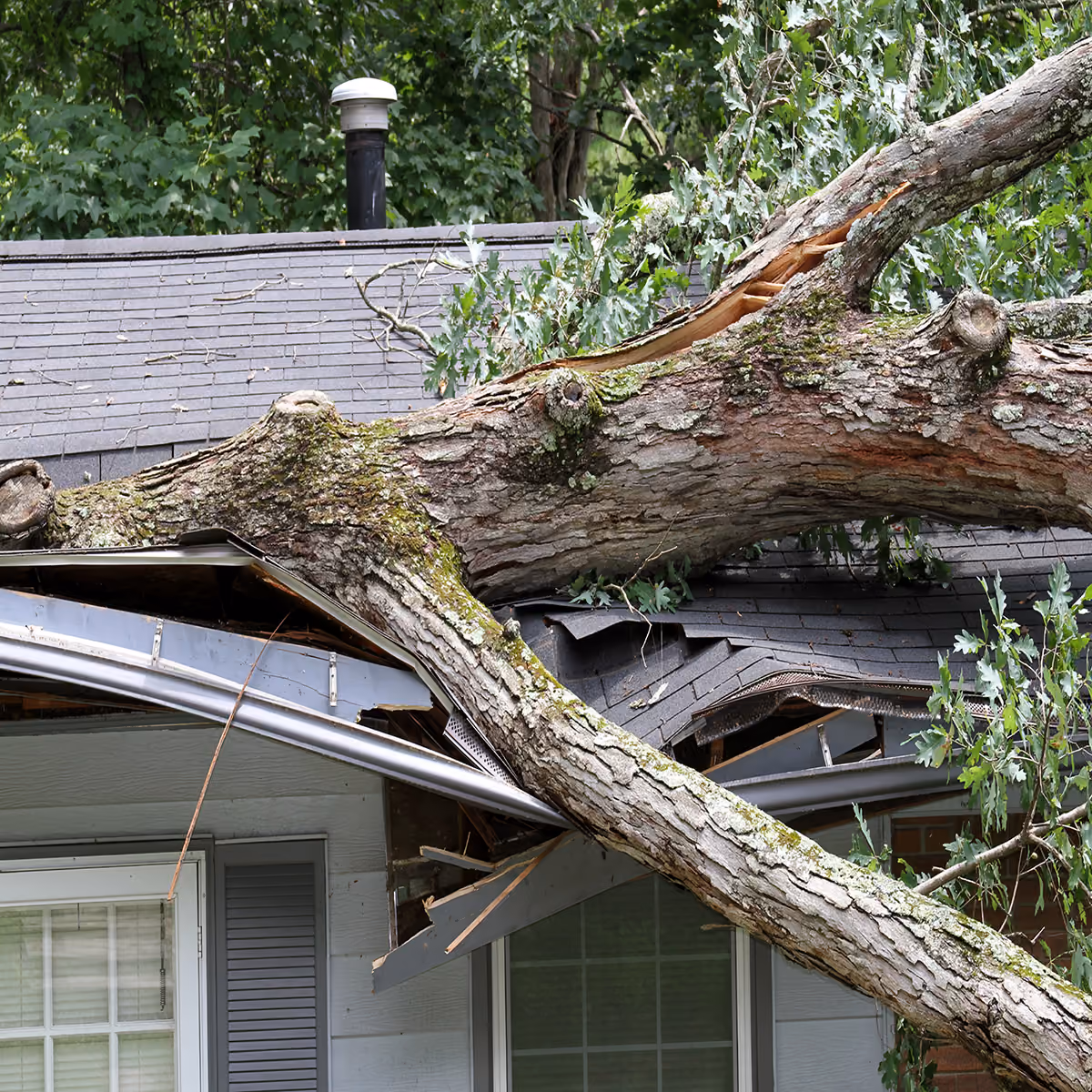fallen debris on a roof after a storm