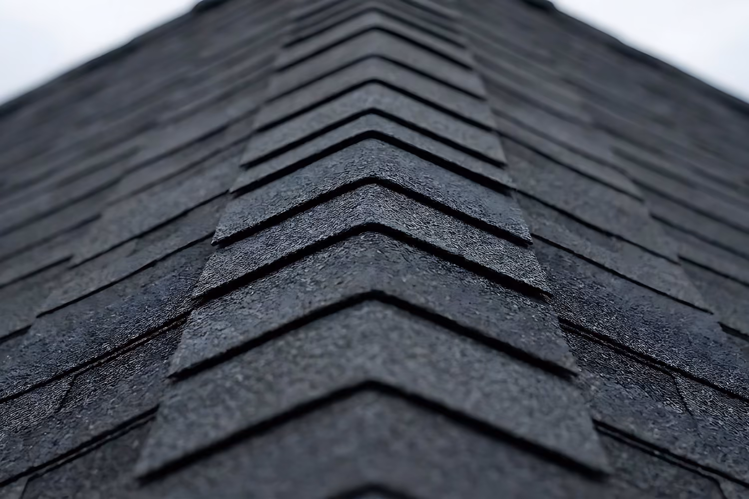 a black shingle roof