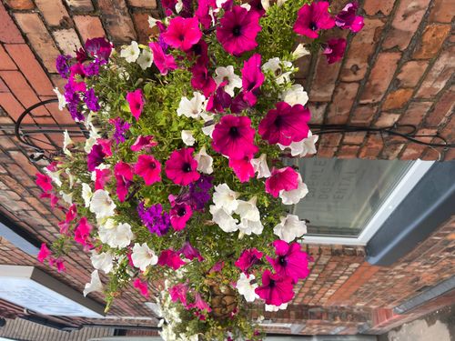 Spring Clean Smiles ...