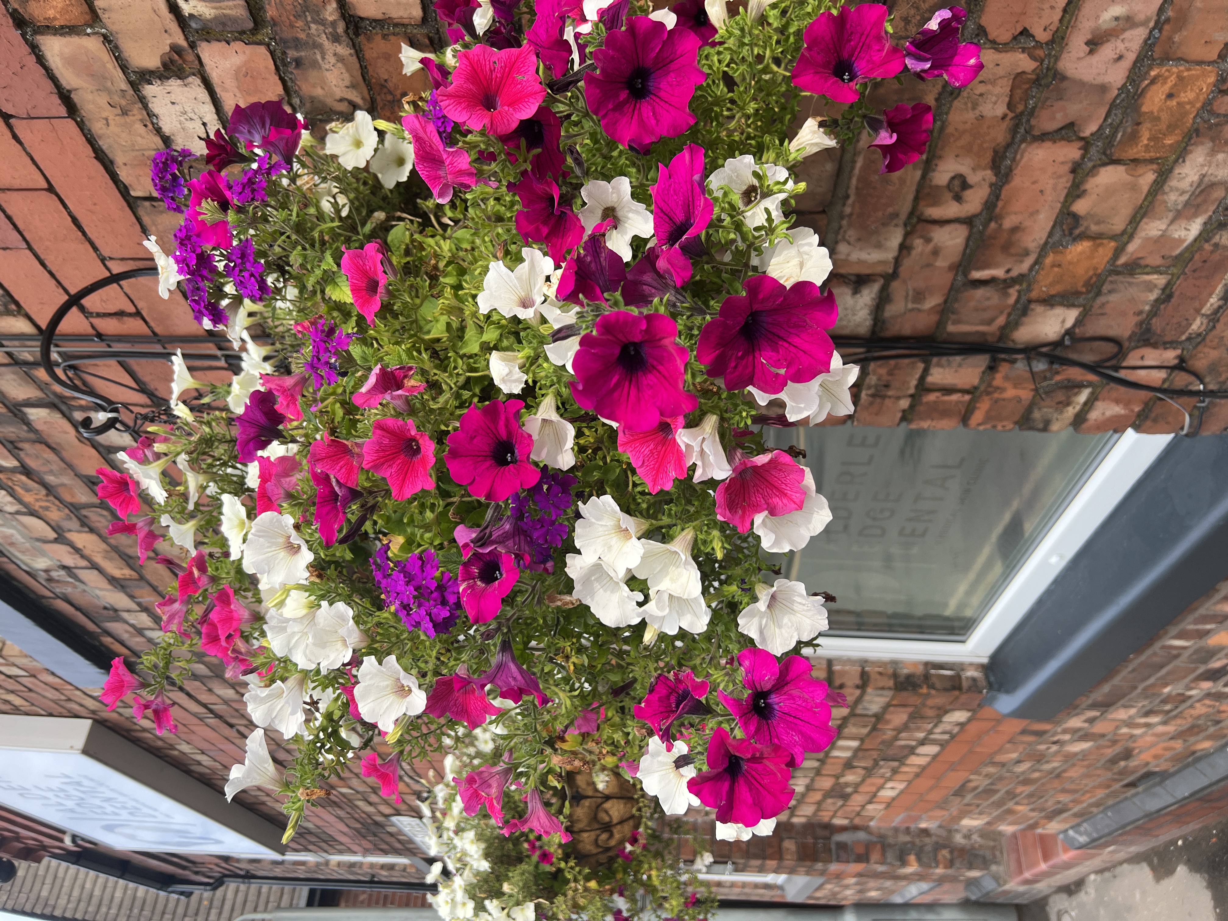 Spring Clean Smiles ... 