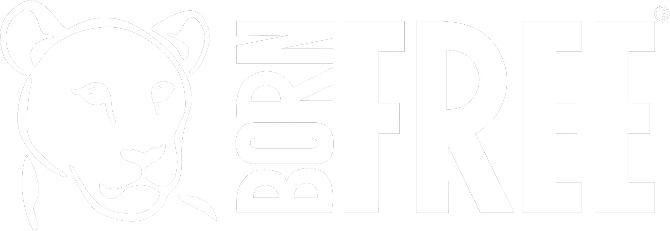 Born Free USA
