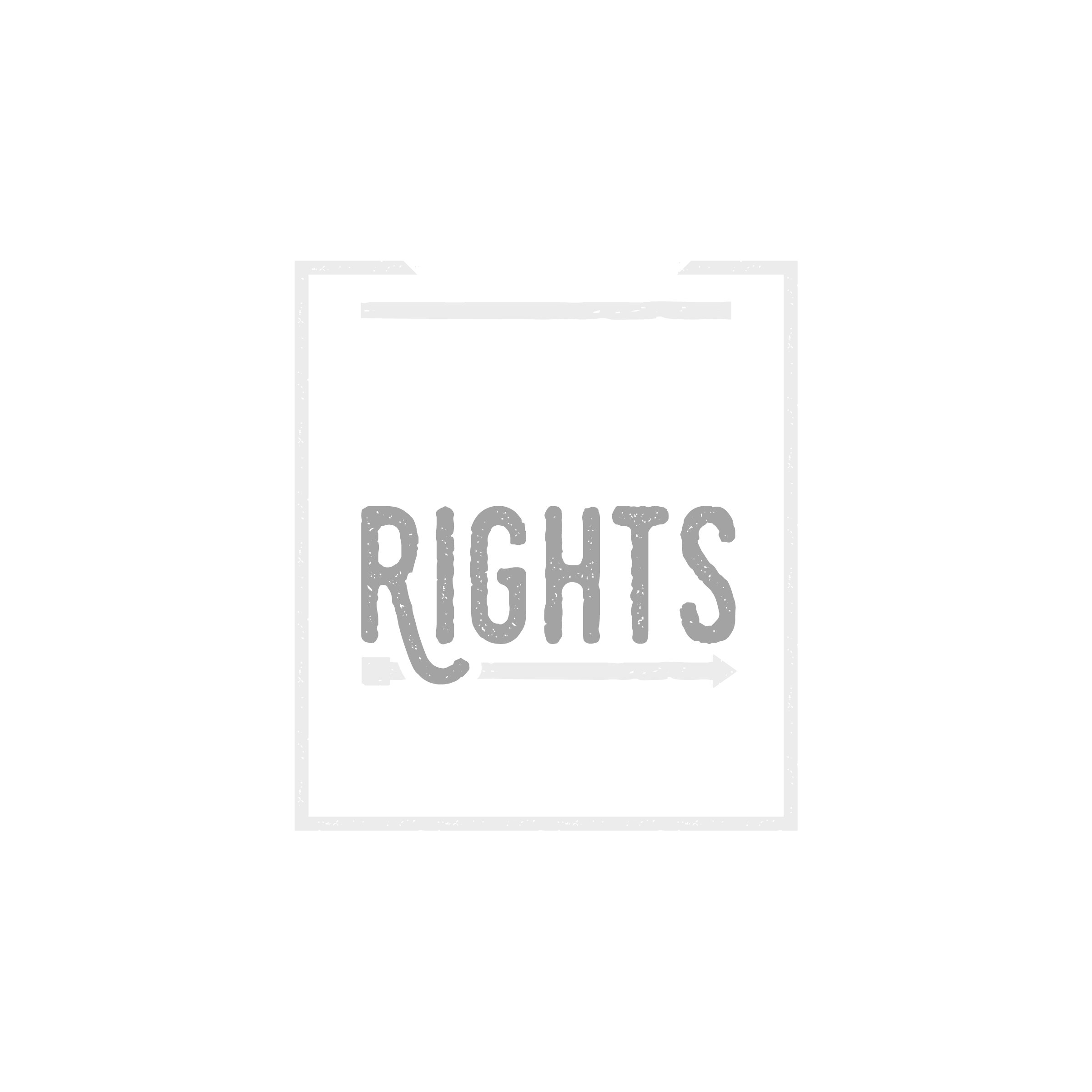 Voting Rights Brigade