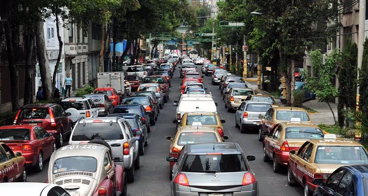 cómo evitar el cambio climático