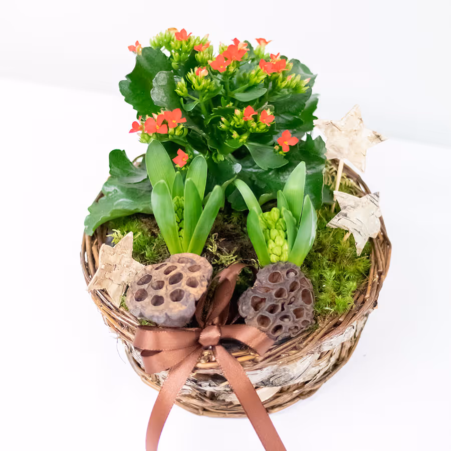 Jouluinen istutusasetelma