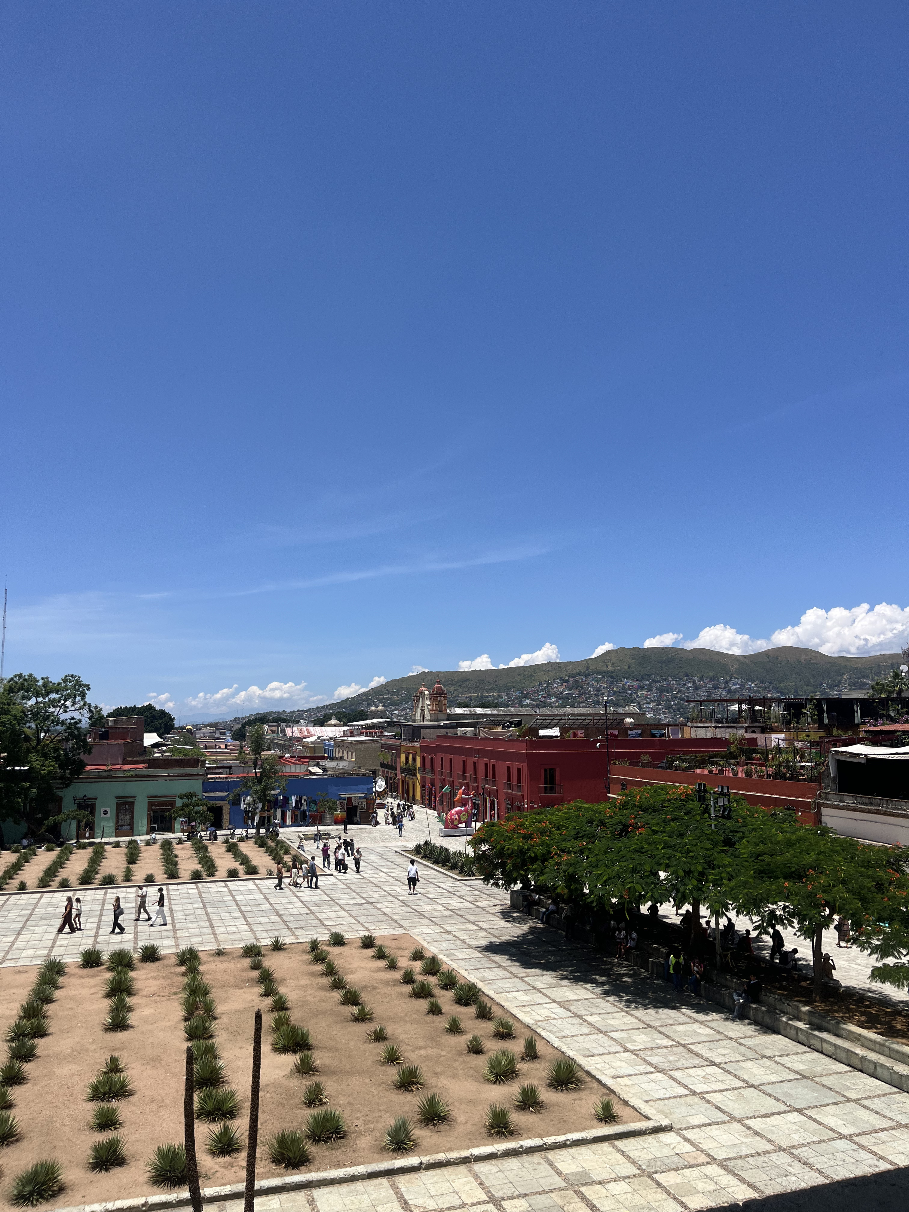 Going Solo in Oaxaca: Food, Culture & Women-Led Travel