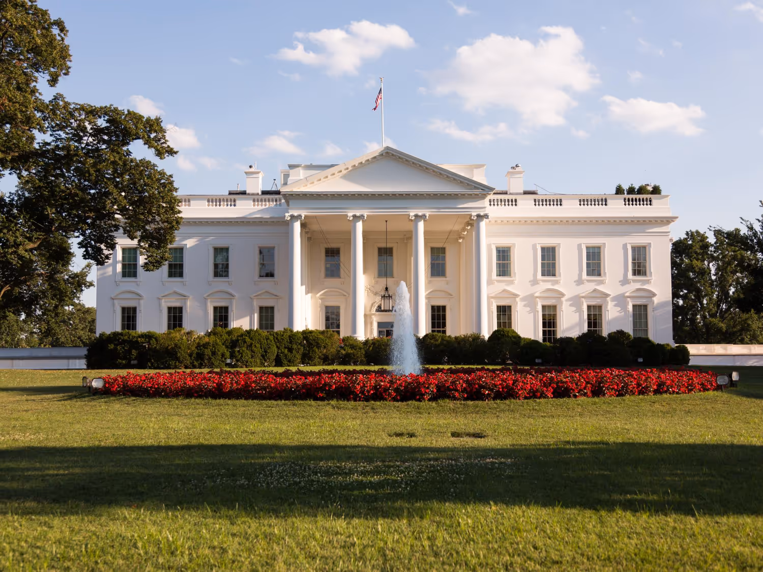 Abstract & Government Services