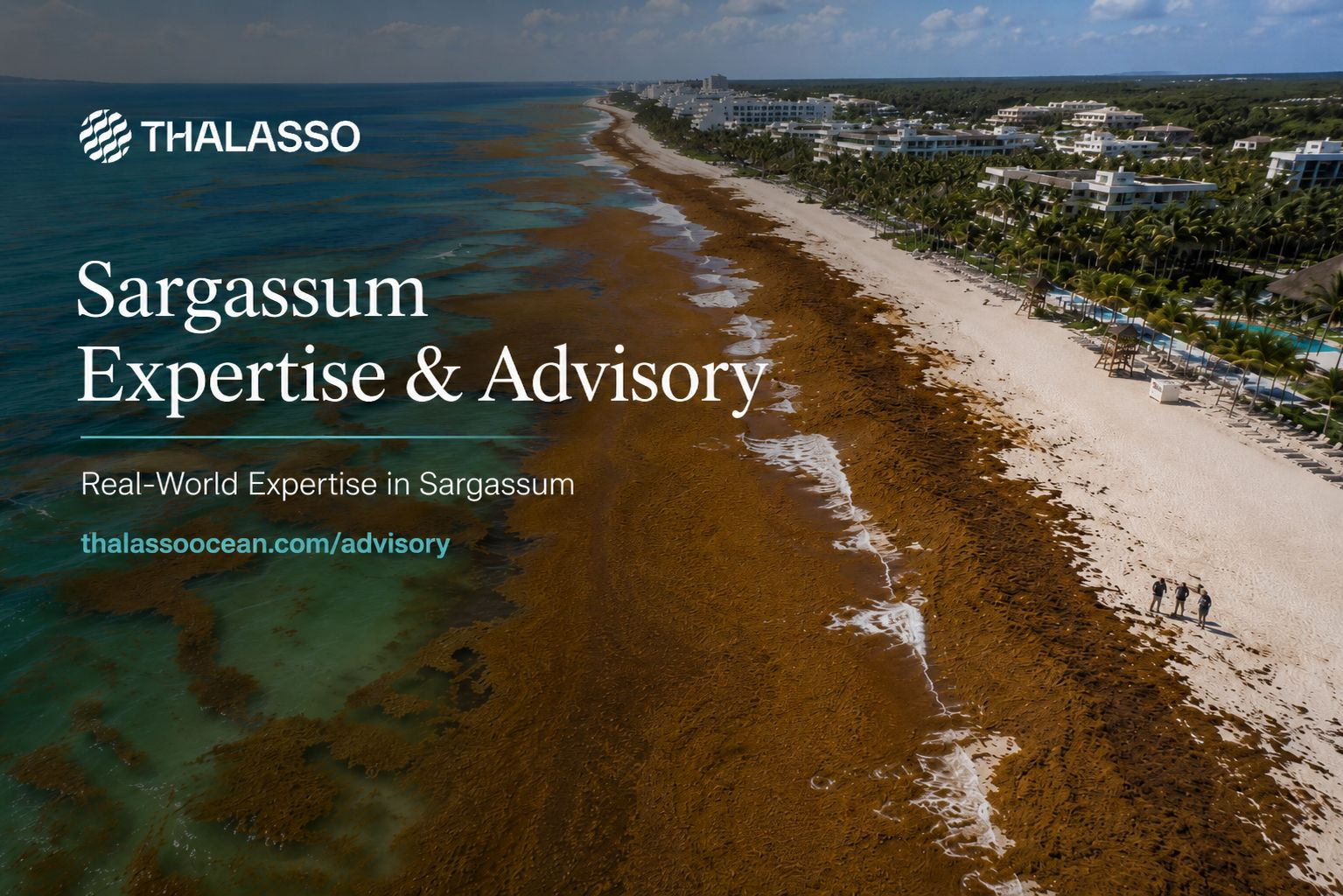 Introducing Thalasso Advisory