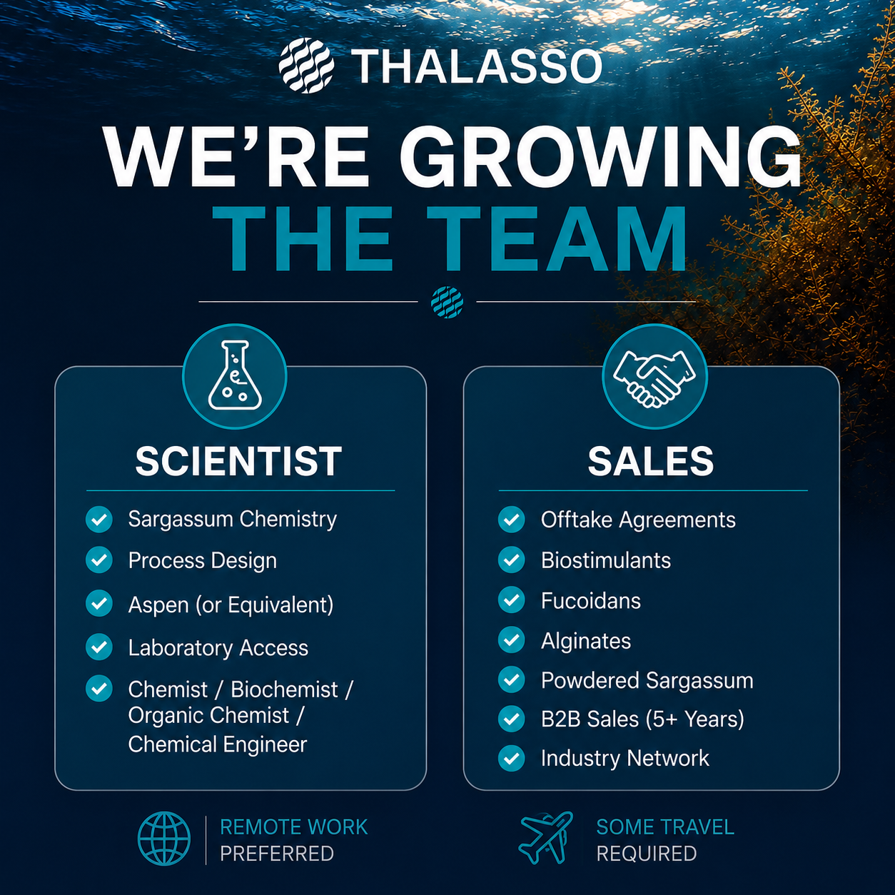 We are Growing the Team