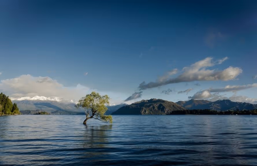 Disclosing Flood Insurance on Loan Estimate and Closing Disclosure