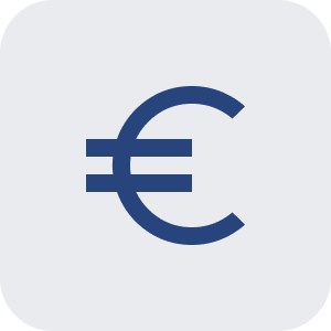 Icône e la devise d'euro