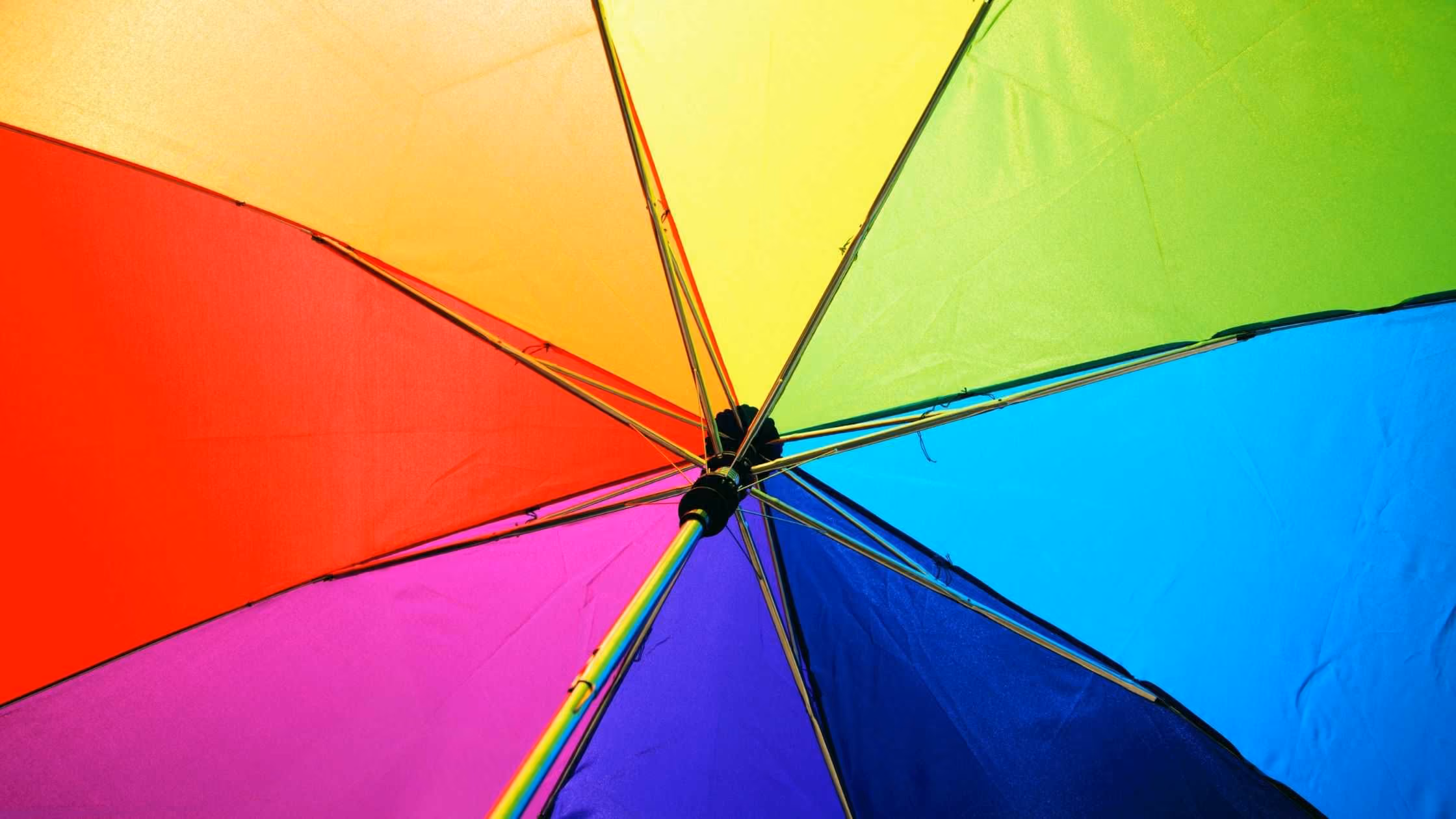 A rainbow umbrella