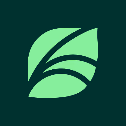 Spring Health's new brand